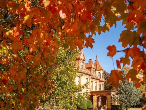 First Watch: Stuff You Should Know